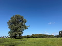 42 IMG_1756.jpeg